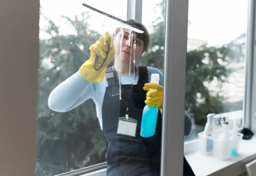 Nettoyage de vitres intérieures et extérieures au Thor